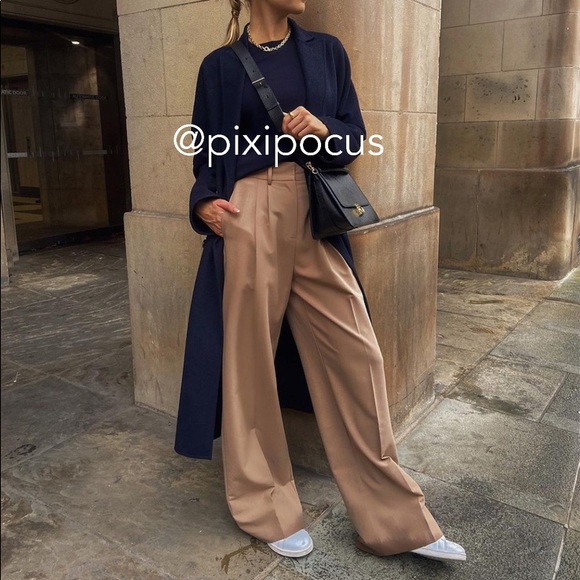 Nwt Zara Wide Leg Pleated Pants Neutral 